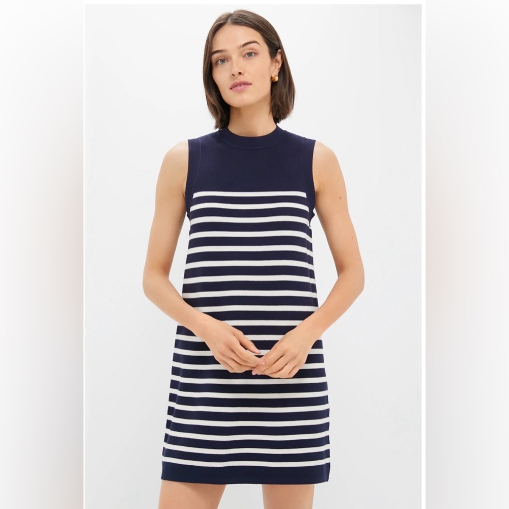 Tuckernuck Navy and White Striped Sleeveless Knit Mini Dress